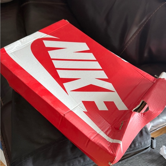 Nike High Aluminum Dunks 𩵠- Picture 8 of 8